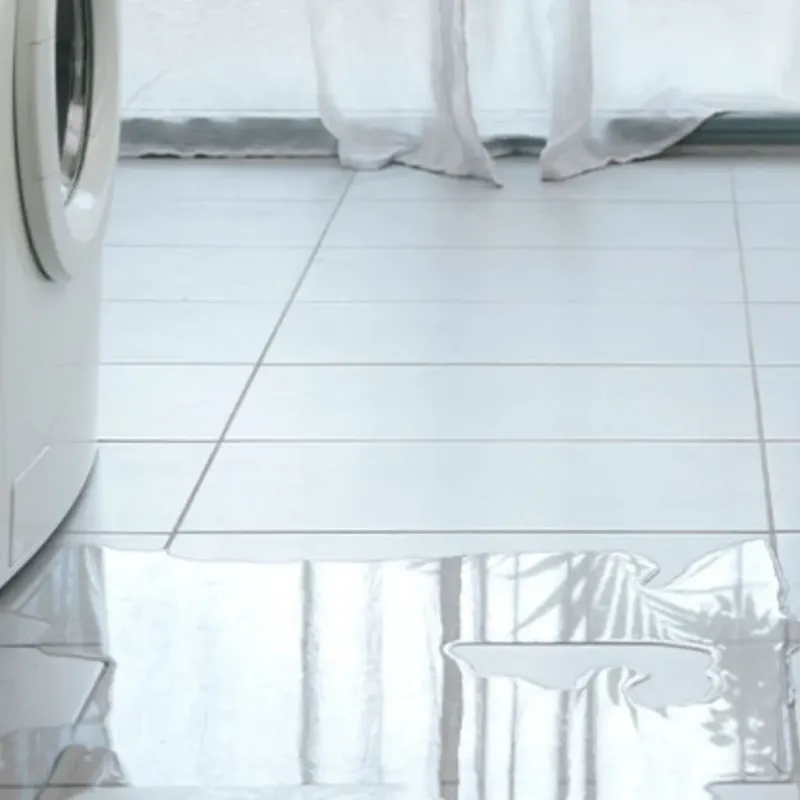 Appliance Leak Cleanup in Benwood, WV