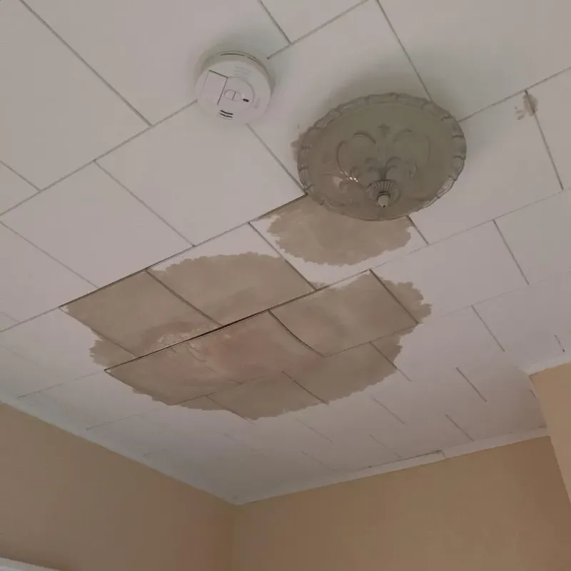 Ceiling Water Damage Repair in Benwood, WV