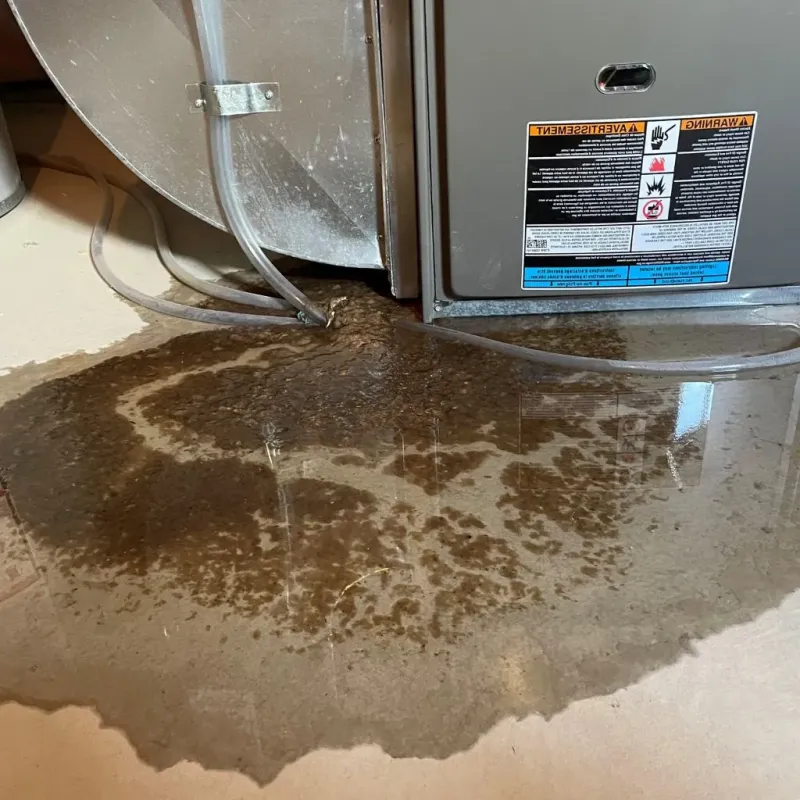 Pipe Burst and Leak Restoration in Benwood, WV
