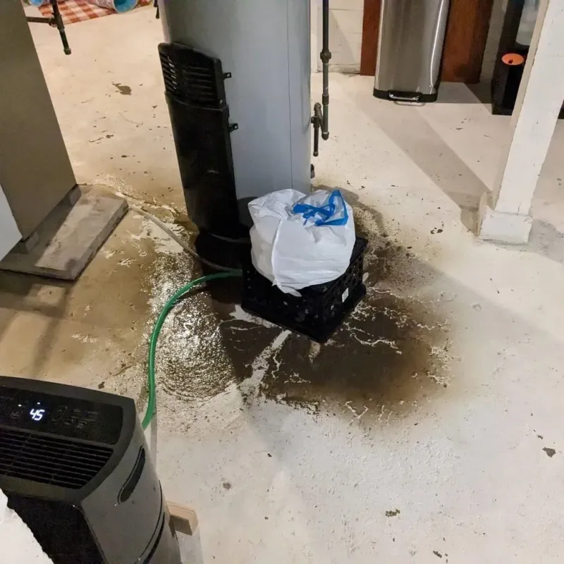 Sewage Backup Cleanup Service in Benwood, WV
